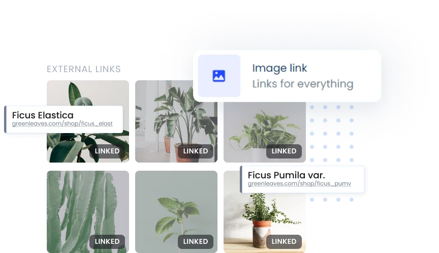 Vista Page drive traffic and clicks using default or custom domain